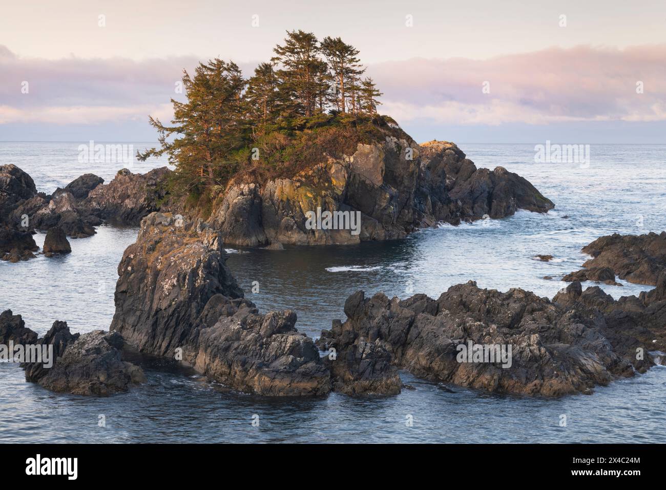 Coasted Along Rugged coast along Wild Pacific Trail. in Ucluelet, Vancouver Island ...