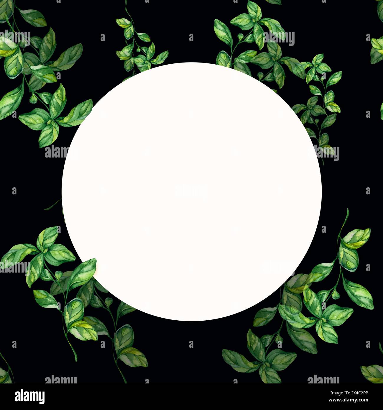 Basil logo hi-res stock photography and images - Alamy