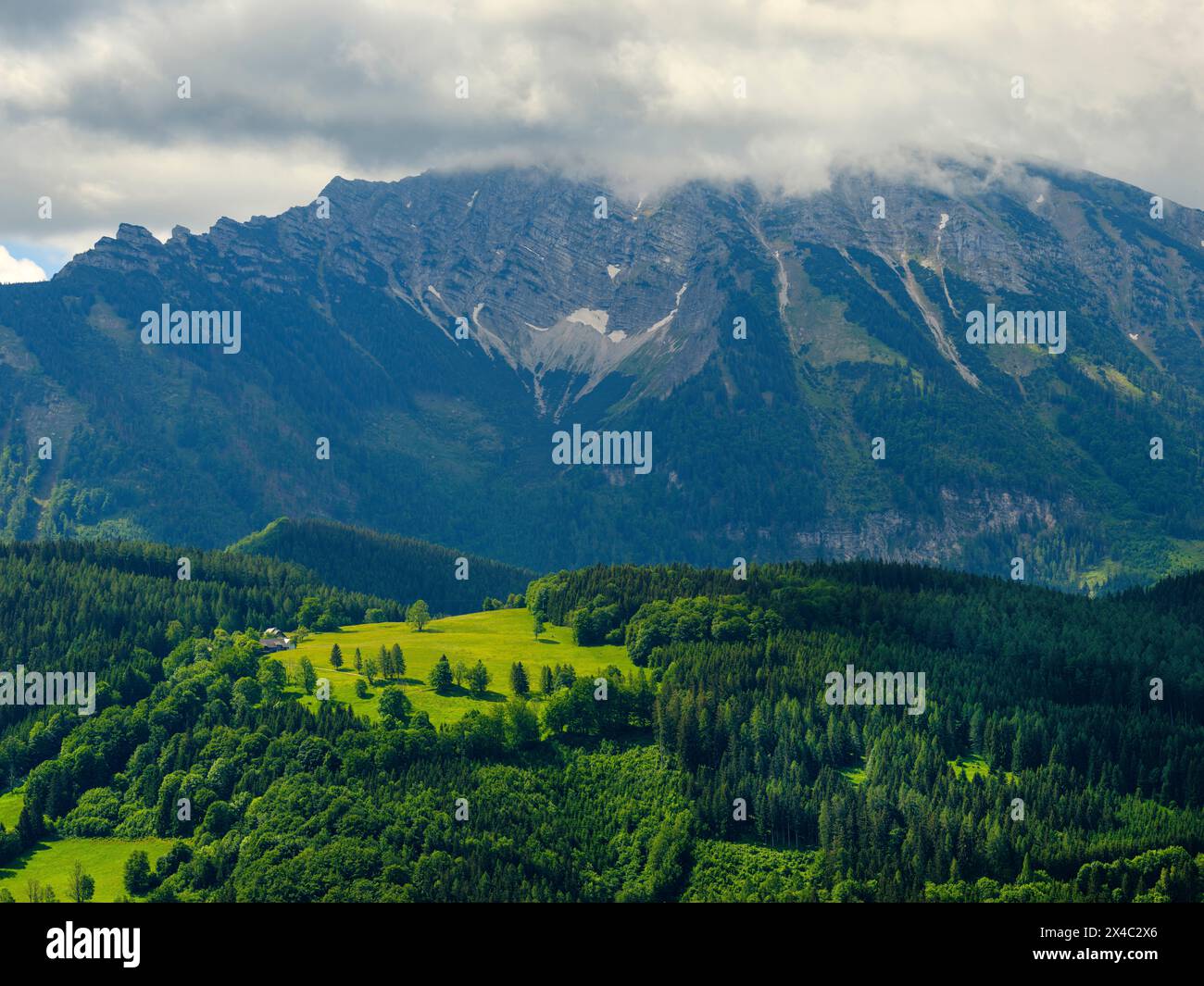 Mt. Otscher (1893m), Nature Park Otscher-Tormaeuer in the Alps of Lower Austria. Stock Photo