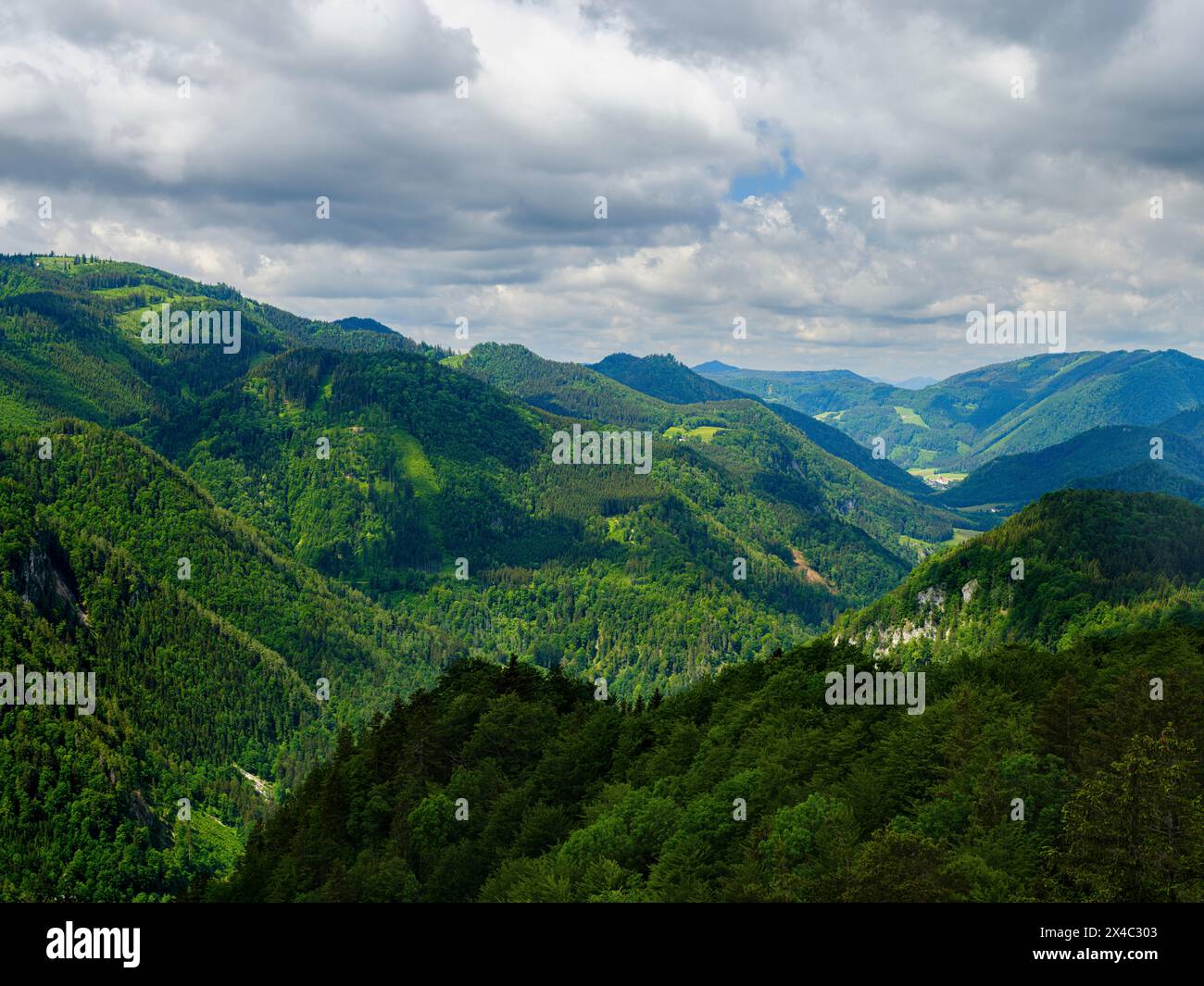 View over the mountain ridge Vordere Tormauer towards village of Gaming. Nature Park Otscher-Tormaeuer in the Alps of Lower Austria. Stock Photo