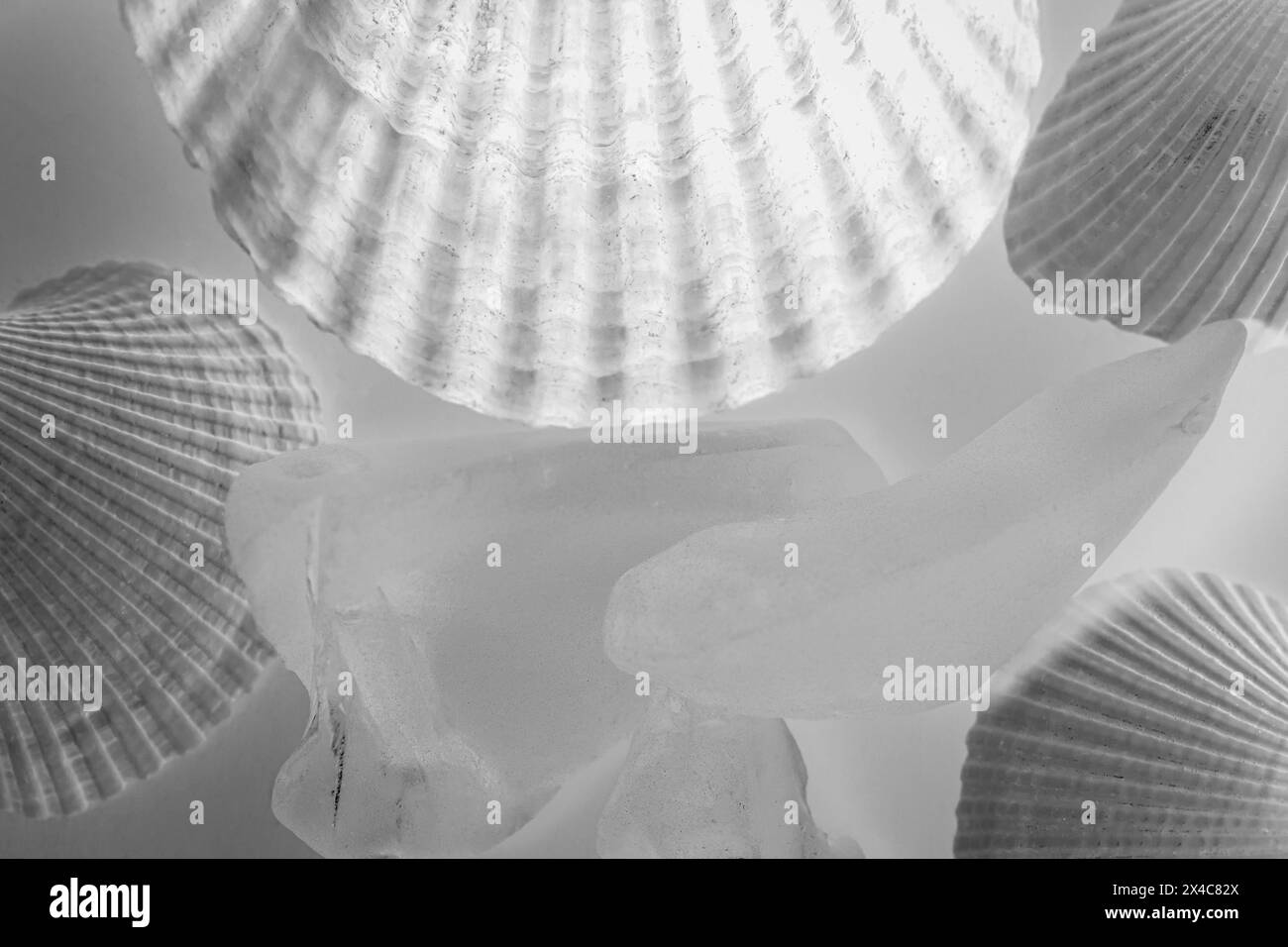 Shells and blue glass with light Stock Photo