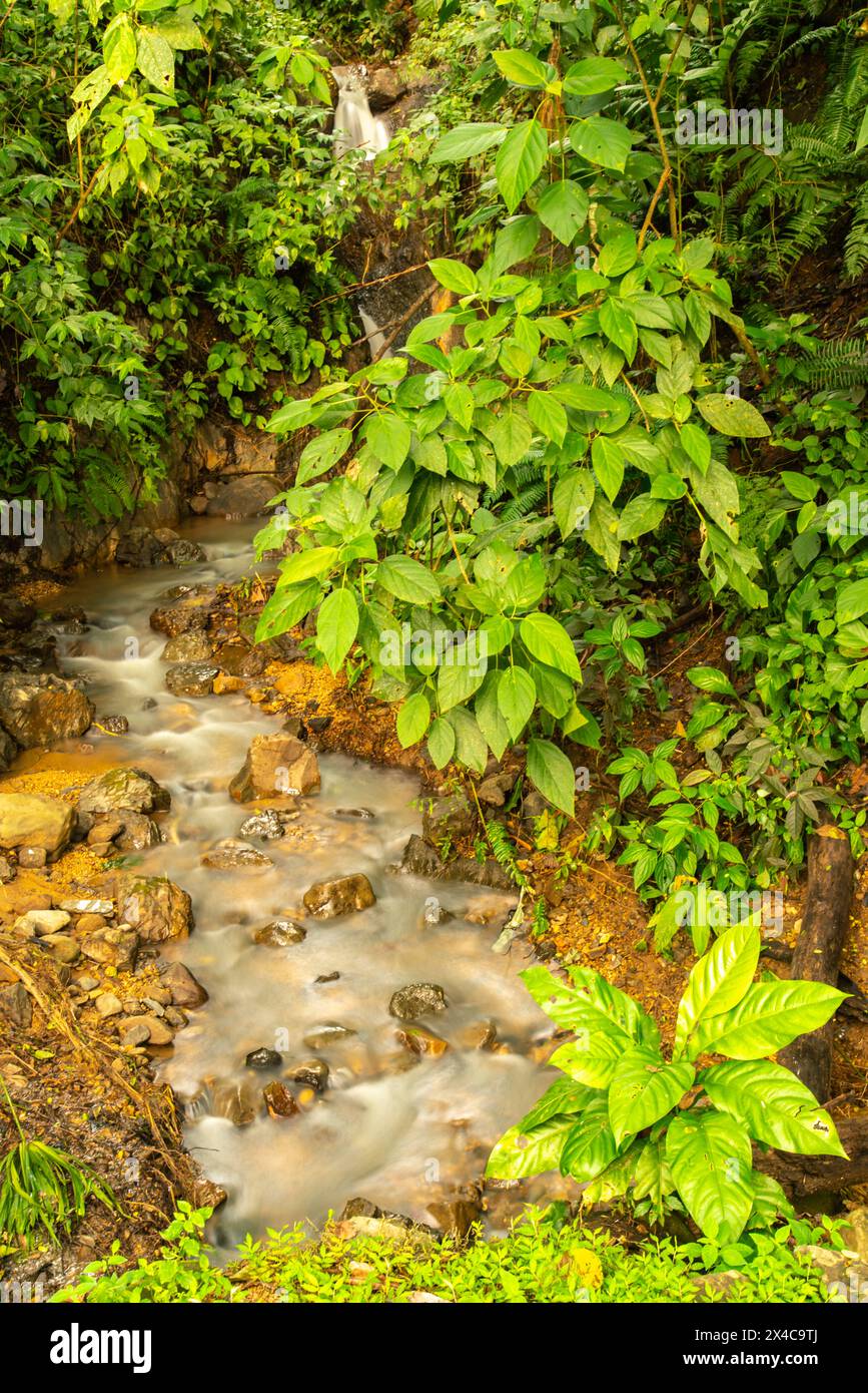 Costa Rica, Parque Nacional Carara. Small stream rapids and vegetation. Stock Photo