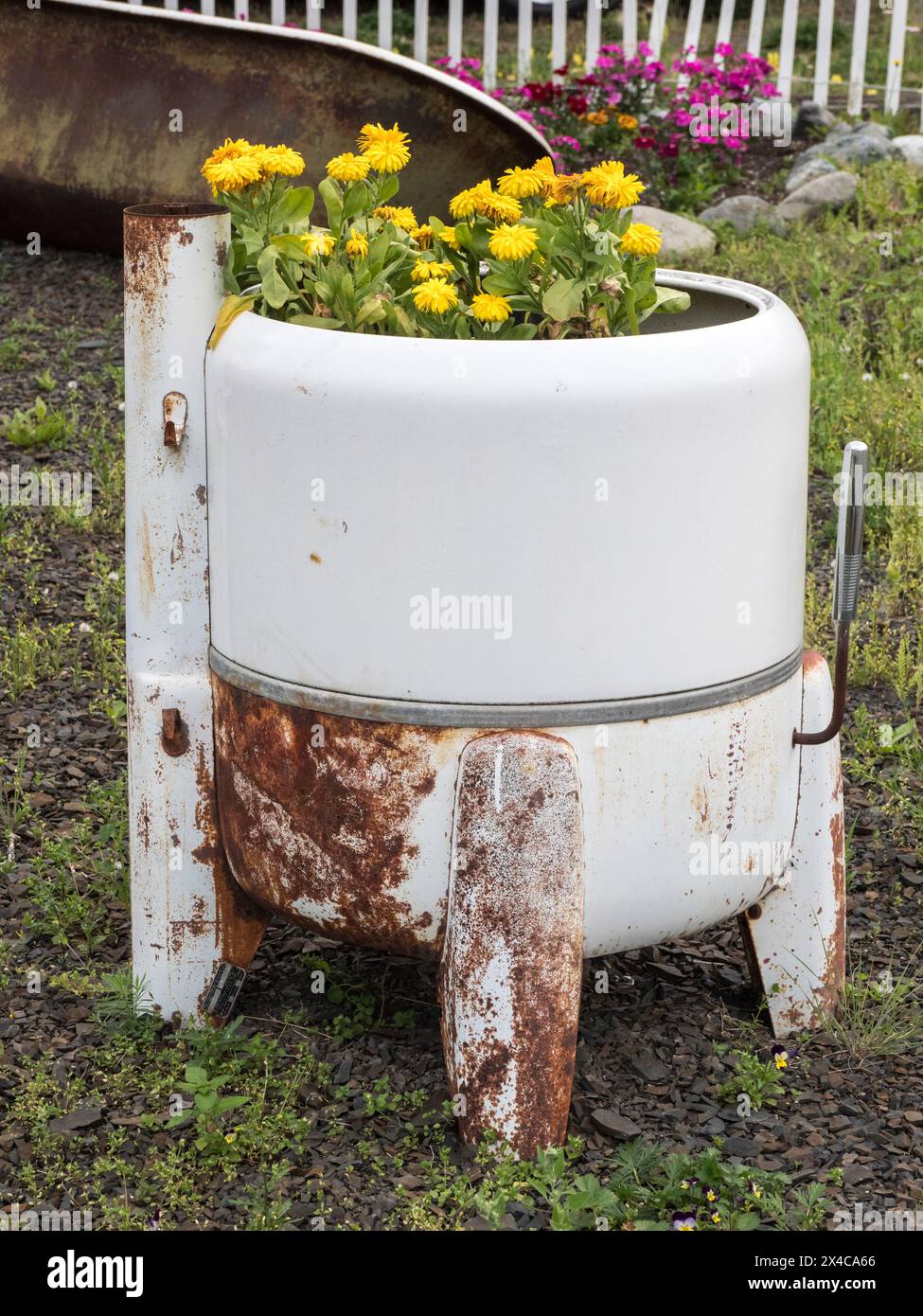 USA, Alaska. Old antique washing machine with flowers planted inside. Stock Photo