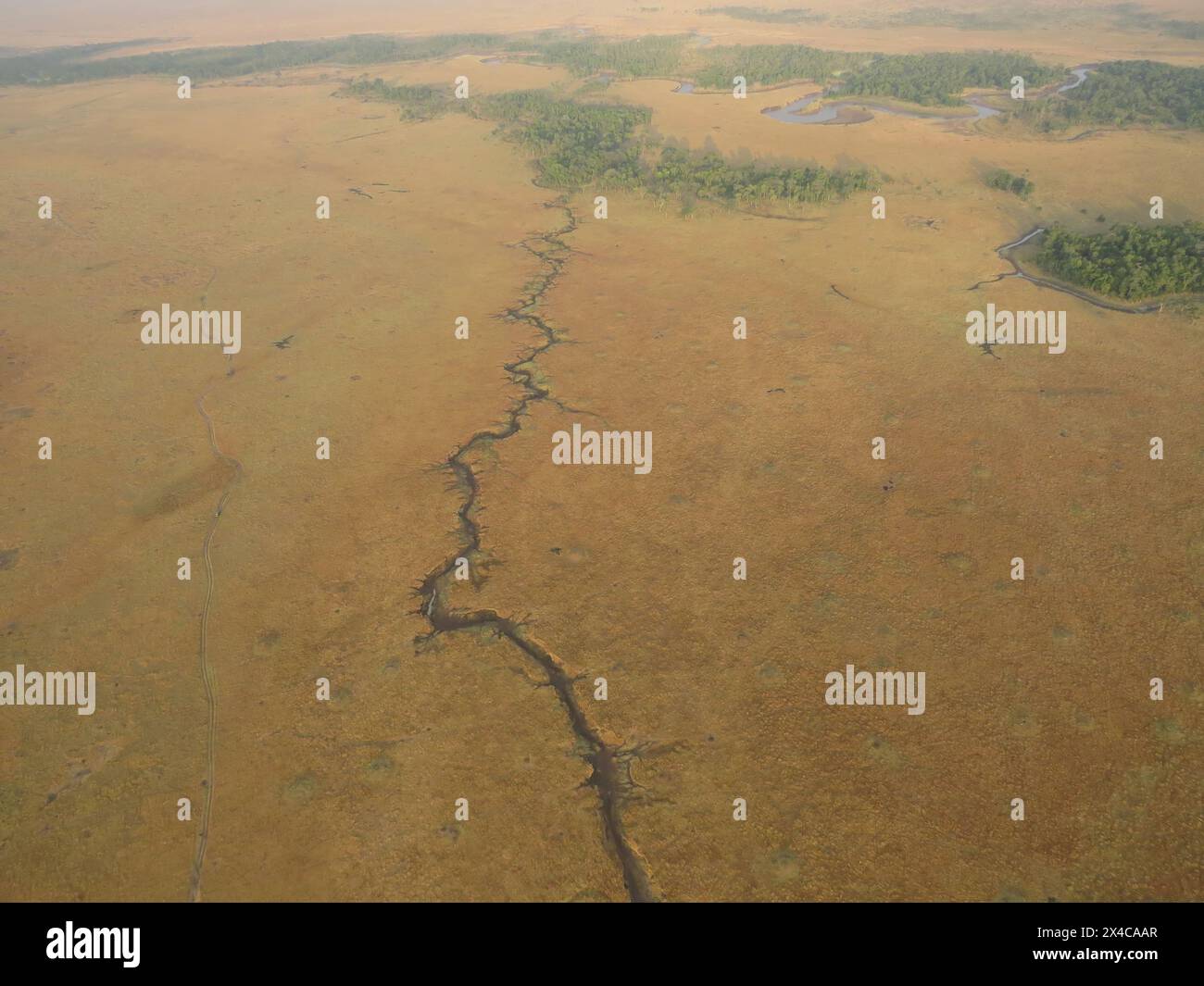 Riverine system in the Masai Mara National Reserve, Kenya Stock Photo