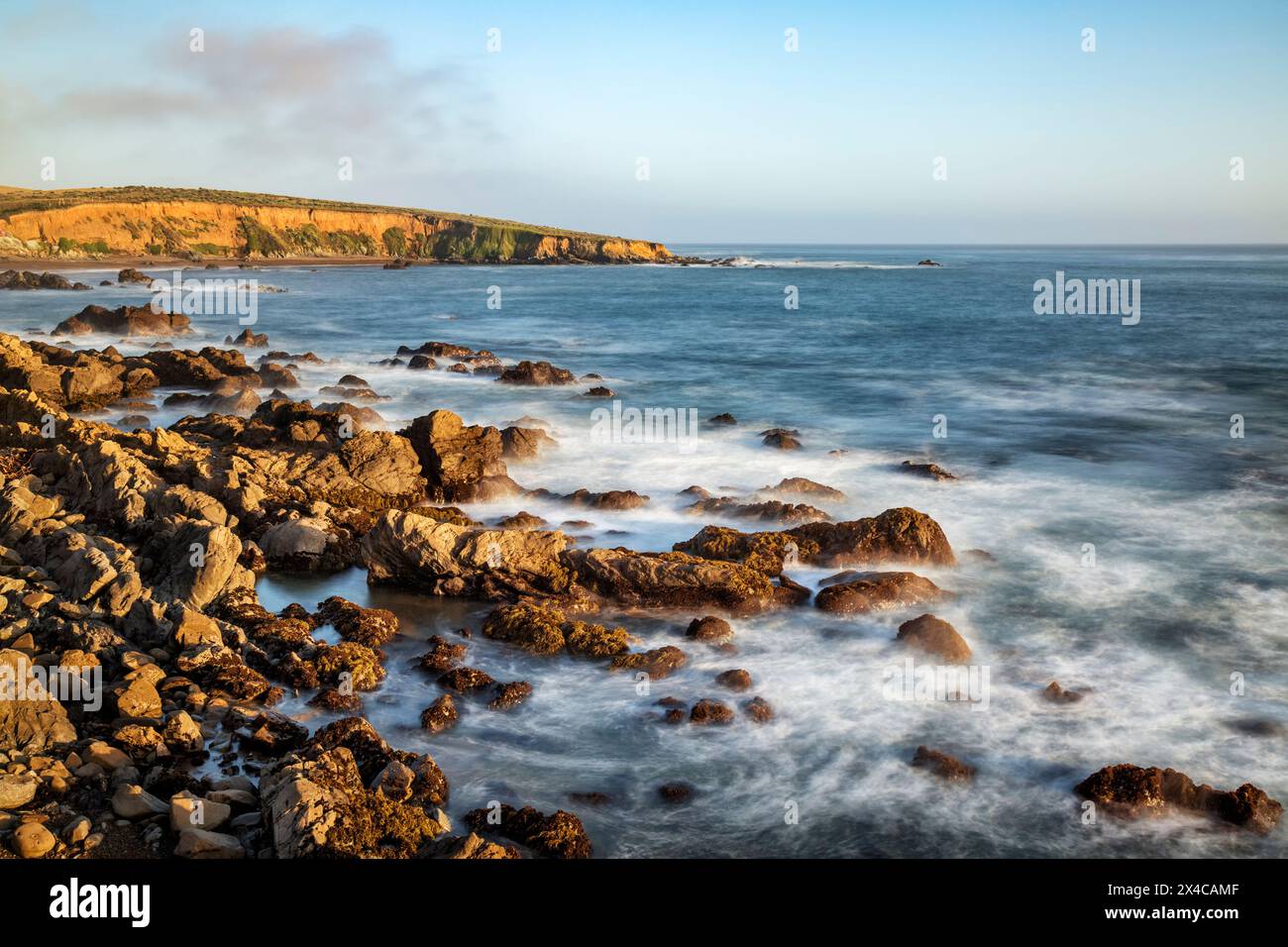 USA, California, Central Coast, Cambria. Bluff at Fiscalini Ranch Preserve Stock Photo