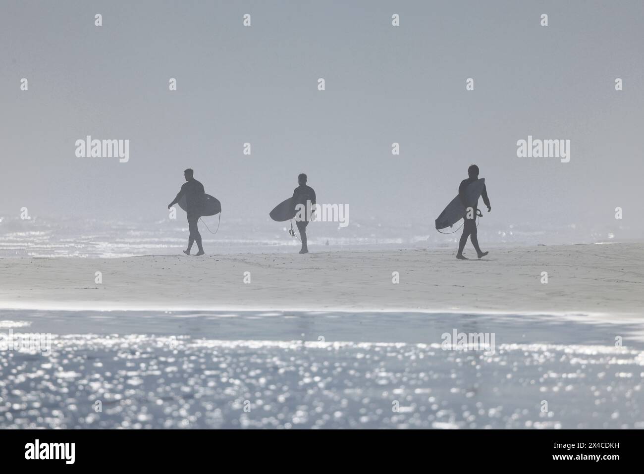 Early morning fog sunrise on surfers beach New Smyrna Beach Stock Photo