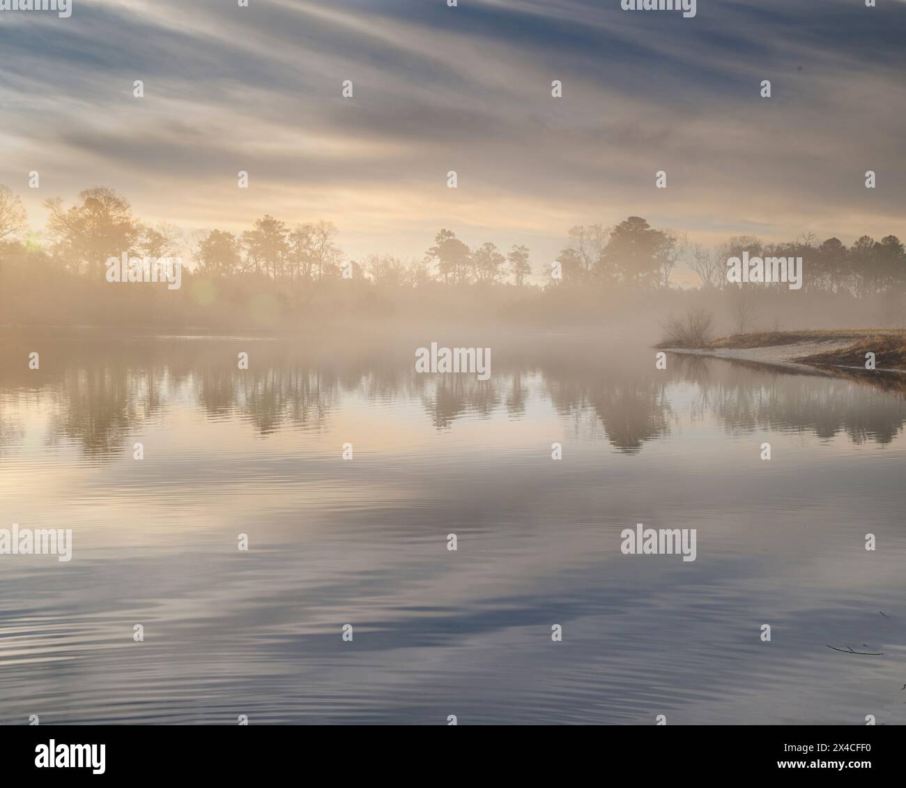 Landscape foggy lake forest hi-res stock photography and images - Alamy