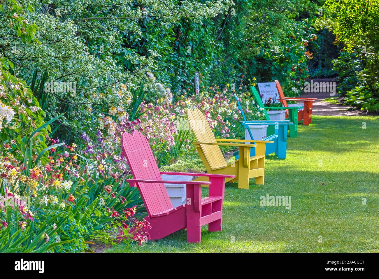 USA, Oregon, Salem. Schreiner's Iris Gardens colorful chairs in garden Stock Photo