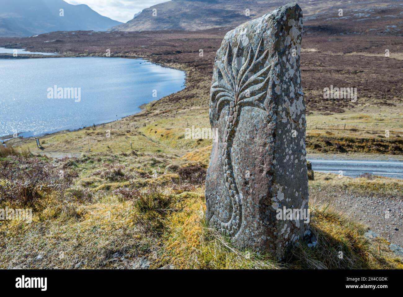 Stone carving of a prehistoric plant carved into a standing rock on the Knockan Crag trail and over looking Lochan an Ais. Stock Photo