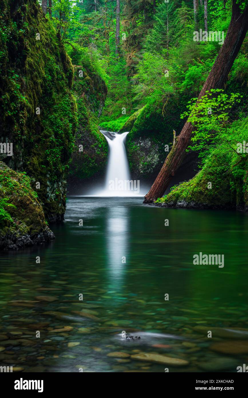 Punch Bowl Falls Along the Eagle Creek Trail in Oregon Wall Art Canvas Print Multi shops Panel Waterfall in Forest Trees Large Wall Art Canvas