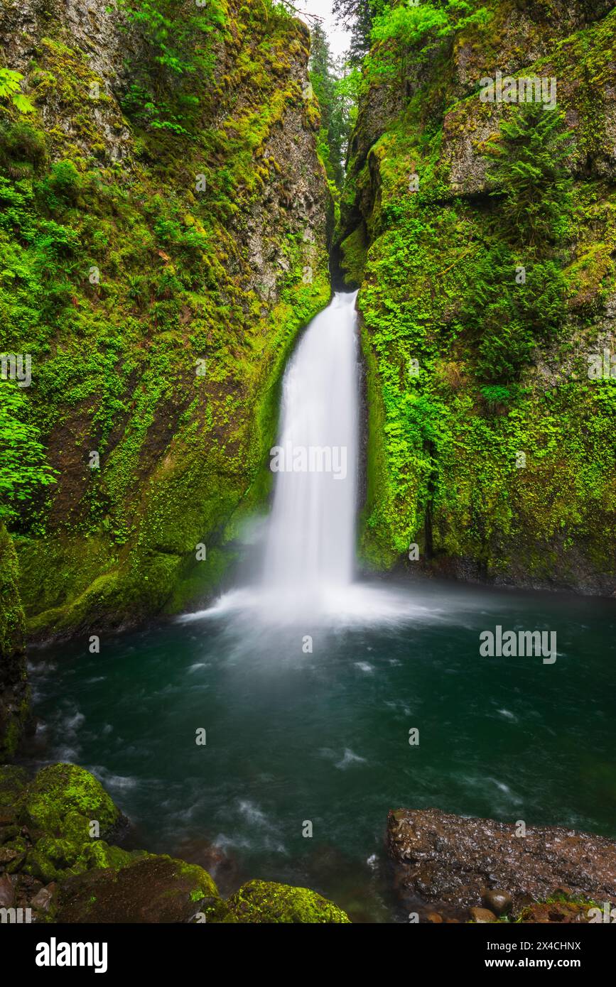 Wahclella Falls Columbia River Gorge National Scenic Area Oregon USA Wahclella Falls Columbia River Gorge National Scenic Area Oregon USA