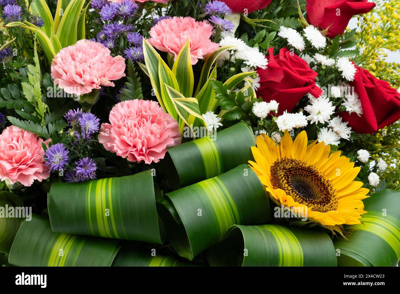 Blossom of colorful flowers in big bouquet with green leaves Stock Photo