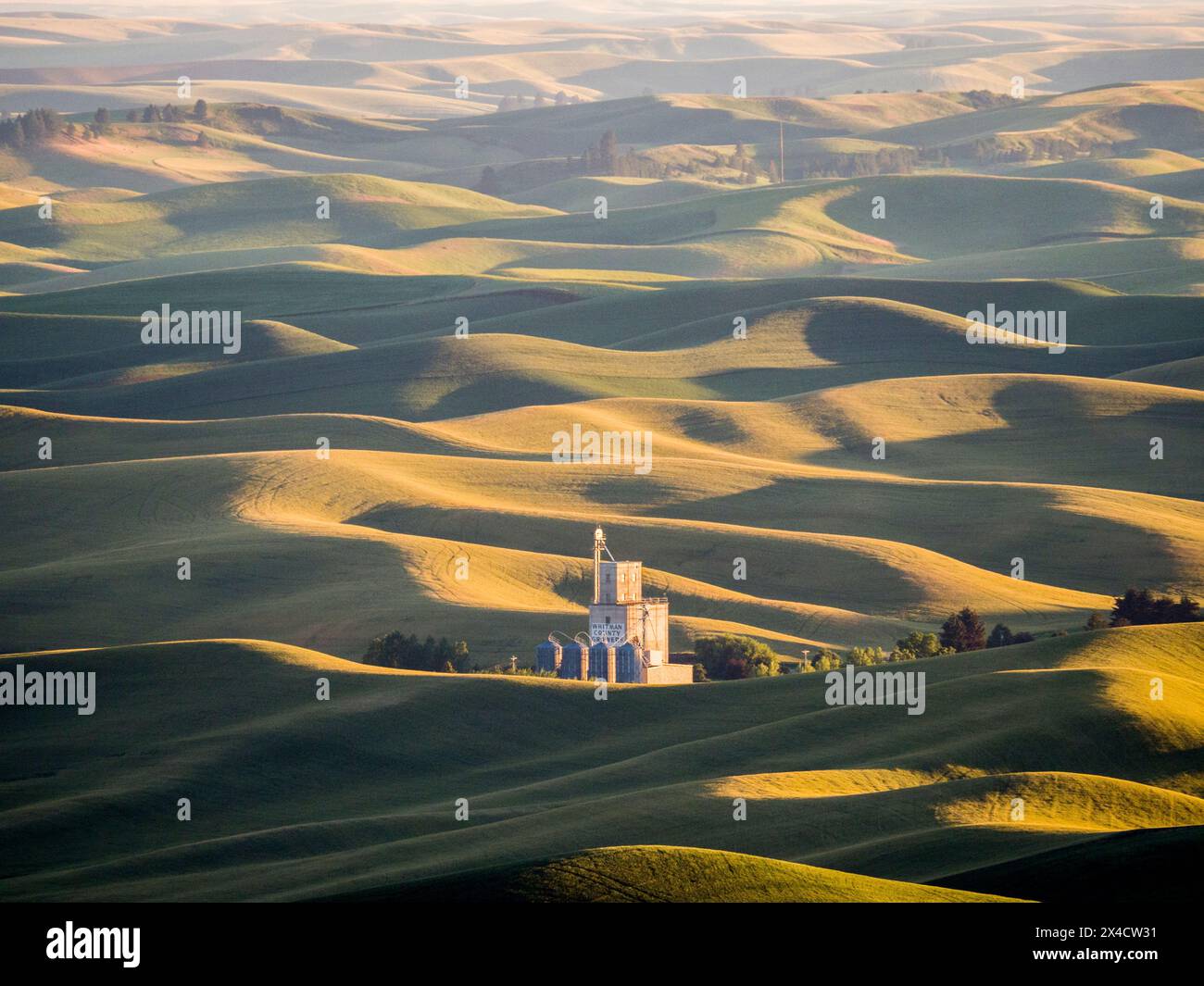 USA, Washington State, Palouse. Grain silos in the middle of rolling