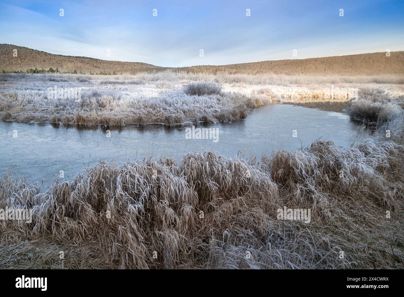 USA, West Virginia, Canaan Valley State Park. Sunrise on frosty winter Landscape with icy stream. Stock Photo