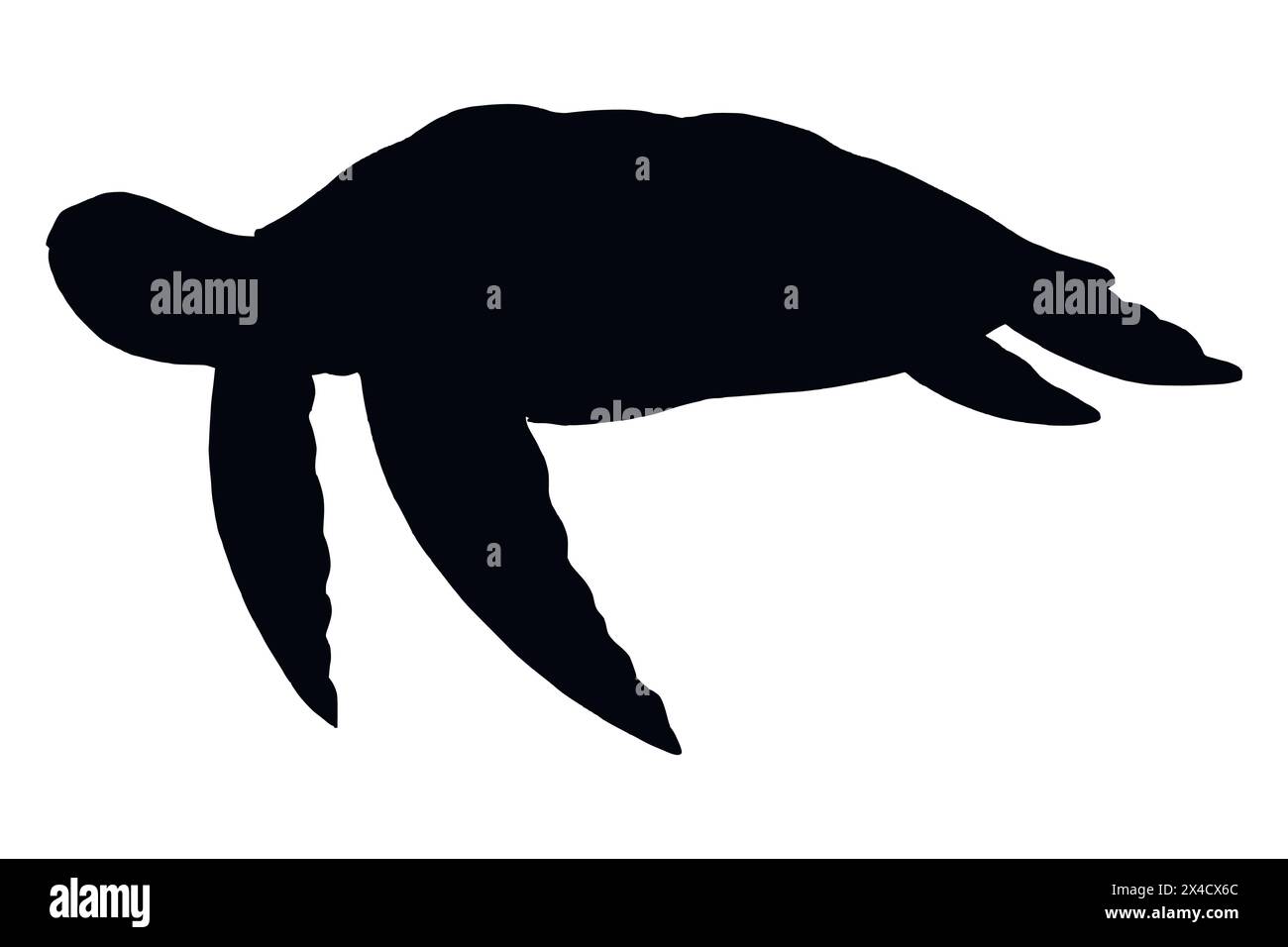 Sea Turtle silhouette. Hand drawn vector illustration of undersea ...
