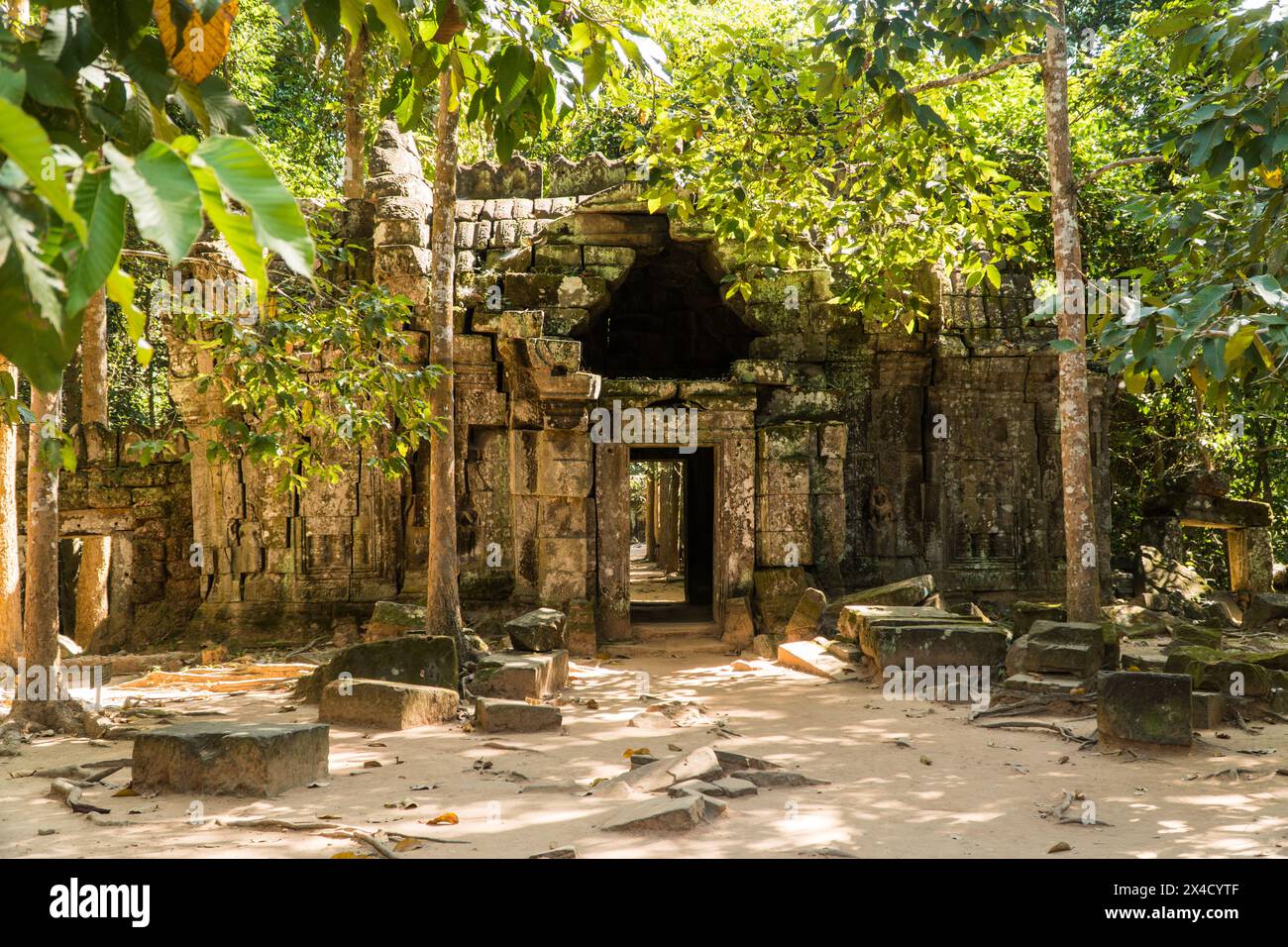 Ta som angkor hi-res stock photography and images - Alamy