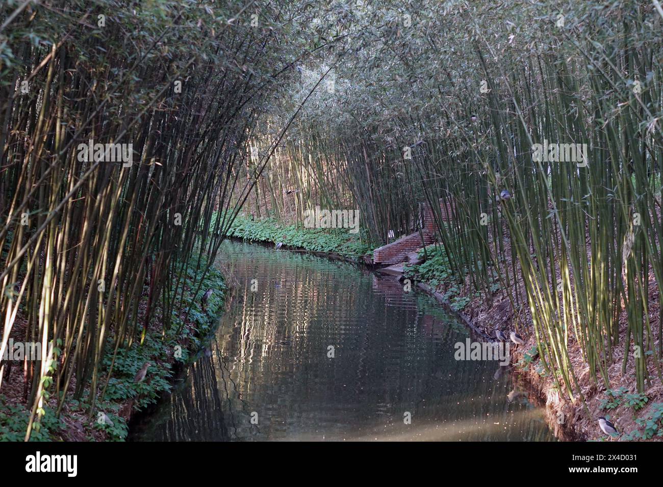 Zizhuyuan (Bamboo Park) Beijing Stock Photo
