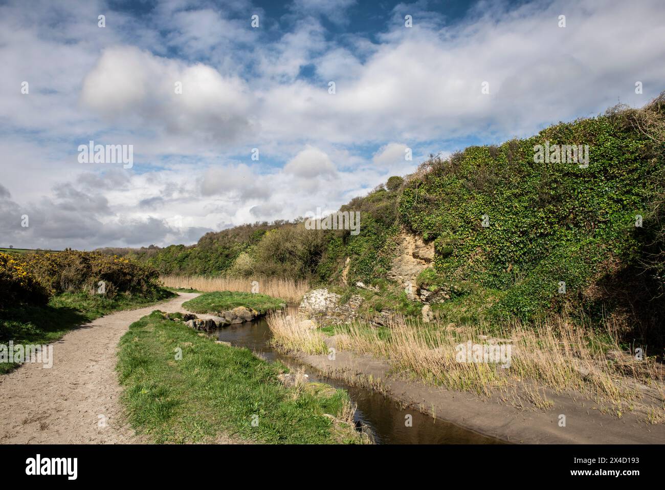 A rough sandy footpath next to the Par Polmear River flowing towards the sea at Par Beach in Cornwall in the UK. Stock Photo