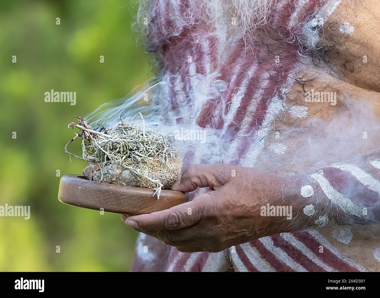 Human hands hold wooden dish with Australian plant branches, the smoke ...