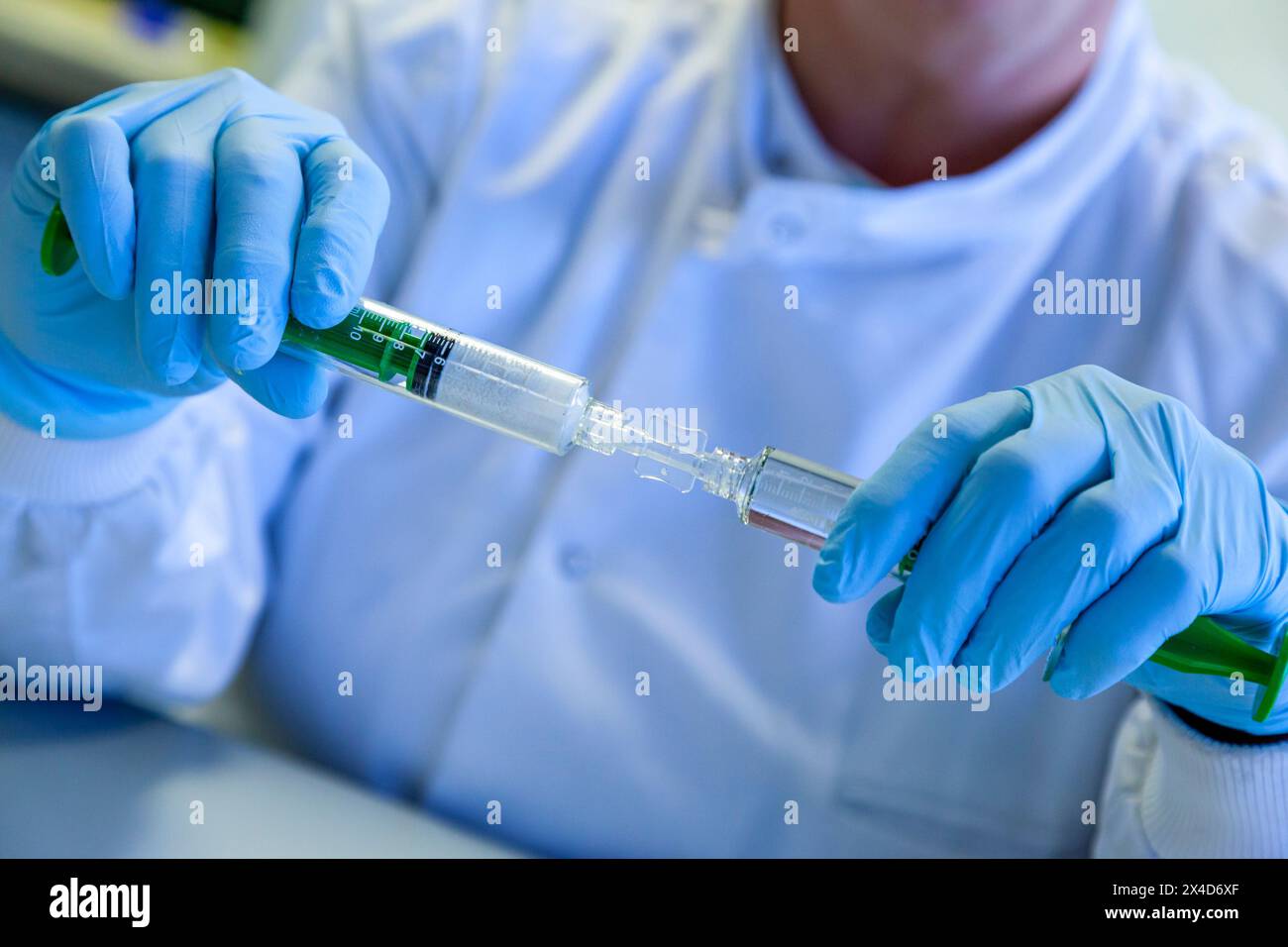 Close up view of a person in a scientific laboratory wearing rubber gloves whilst working with samples during an experimental procedure. Stock Photo