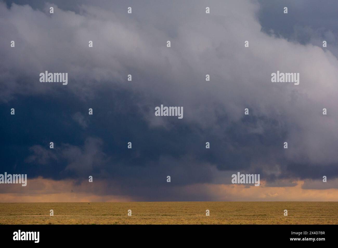 A rainstorm approaching in Ndutu. Ndutu, Ngorongoro Conservation Area ...