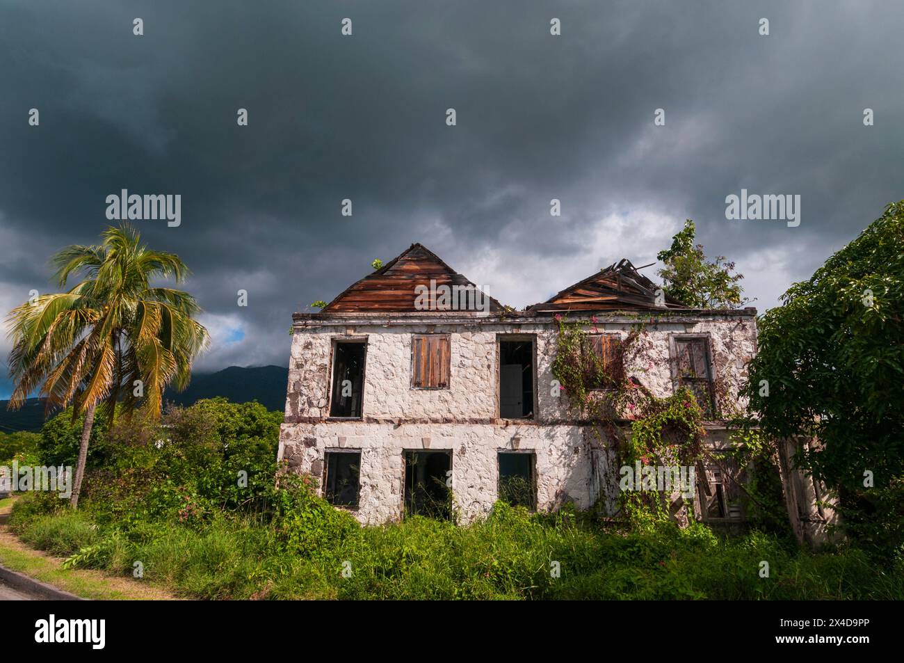 Vines and overgrown shrubs envelope an abandoned house in Charlestown
