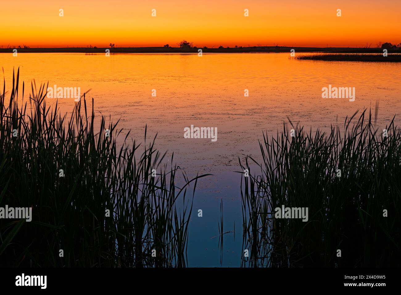 Canada, Alberta, Kinbrook Island Provincial Park. Lake Newell at dawn