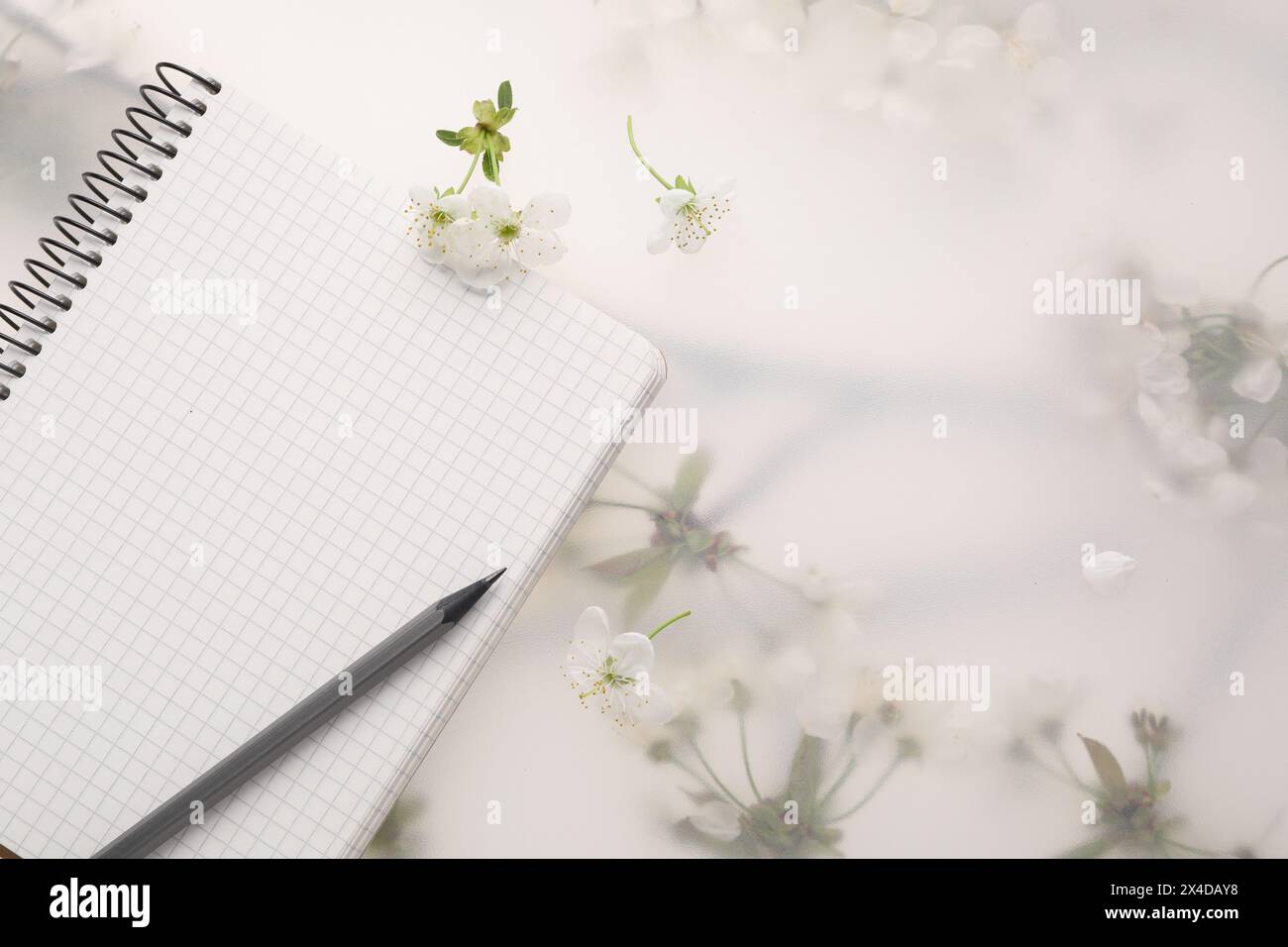 Guest list. Notebook, pencil and beautiful cherry tree blossoms on spring floral background, flat lay. Space for text Stock Photo