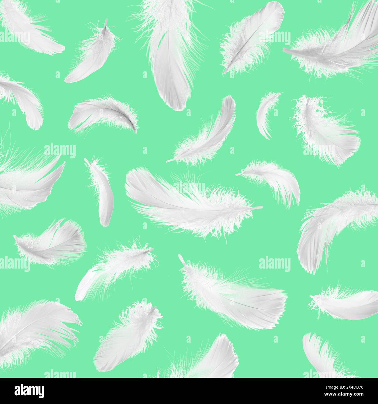 Fluffy bird feathers falling on green background Stock Photo - Alamy