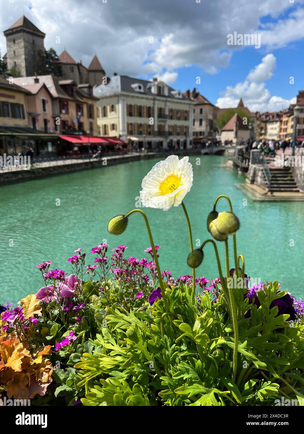 Annecy, Haute-Savoie, France: flowers, old town skyline and crystal clear waters of Thiou River with the iconic Palais de l'Ile on the background Stock Photo