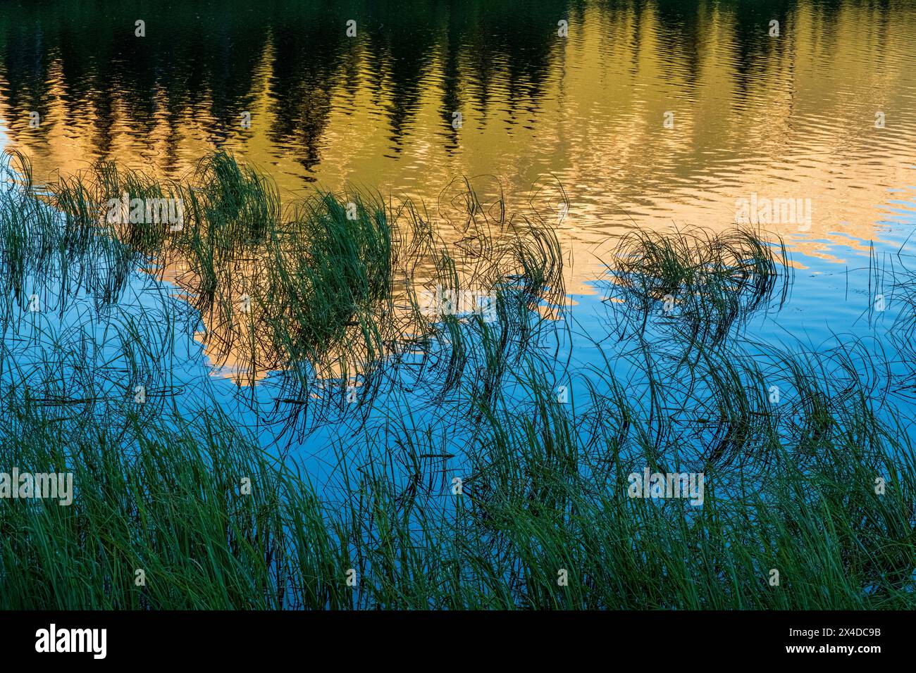 Canada, Alberta, Banff National Park. Peak of Sundance Range reflected in Vermilion Lakes at sunrise. Stock Photo