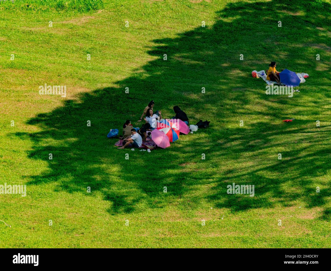 female migrant workers weekend picnic under the tree in singapore Stock Photo