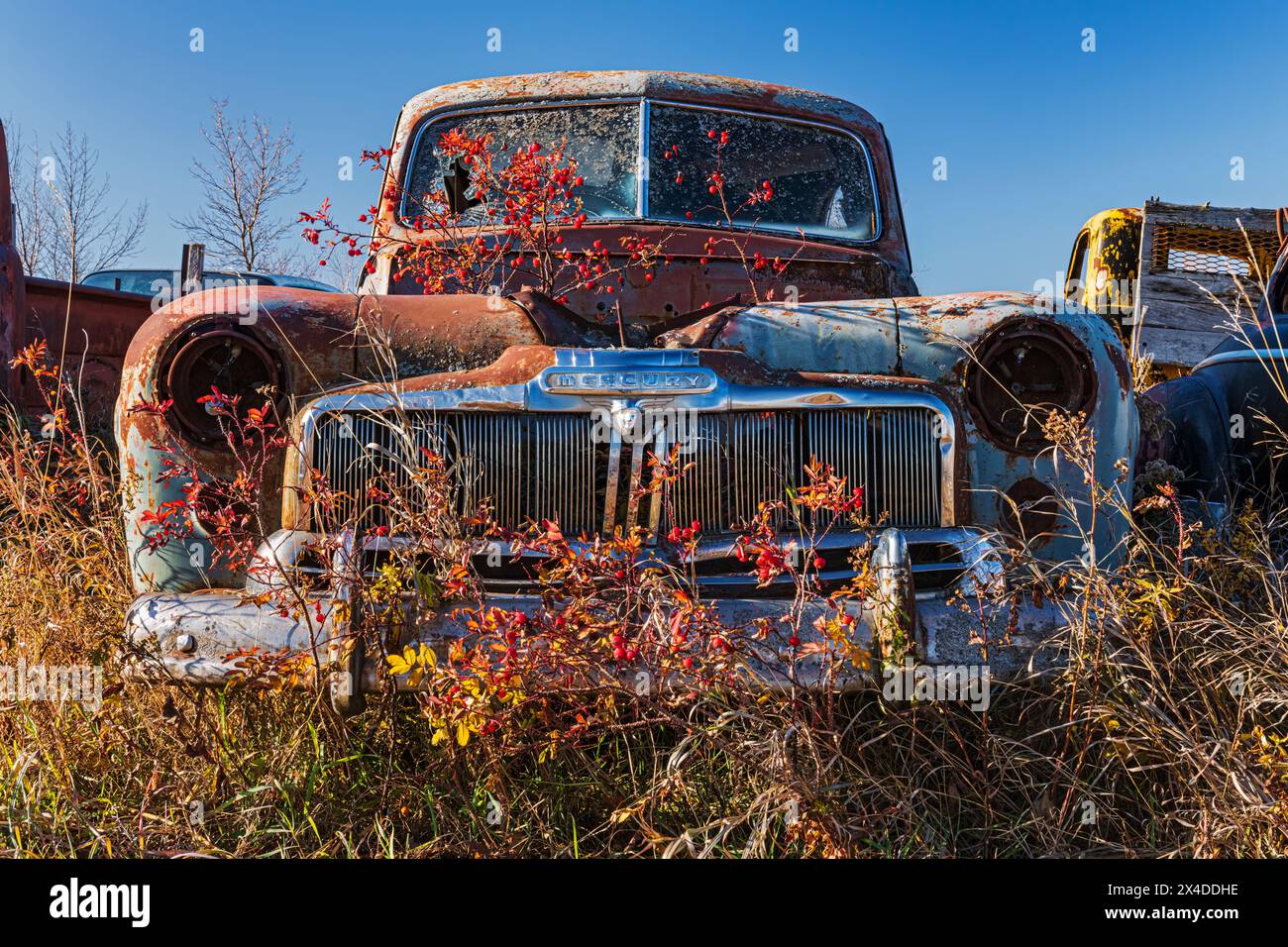 Canada, Manitoba, St. Lupicin. Rusted vintage Mercury car. (Editorial Use Only) Stock Photo
