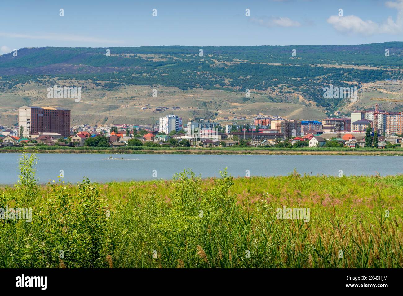 Жыныстық қатынас есінен танып қалады