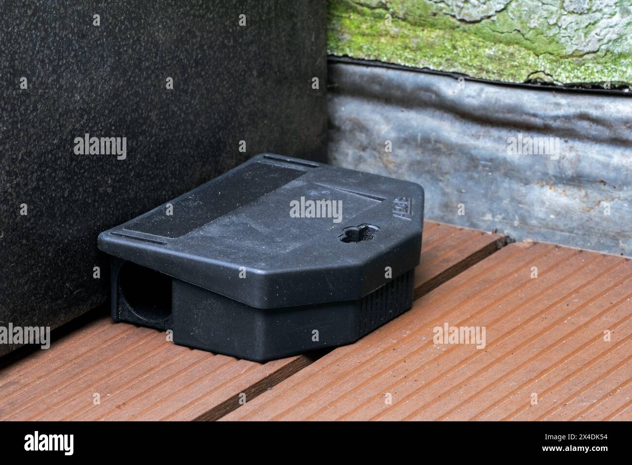 Poisoned plastic box for pest control, mouse bait station filled with rodenticide, poisonous paste as poison to exterminate mice in and around house Stock Photo