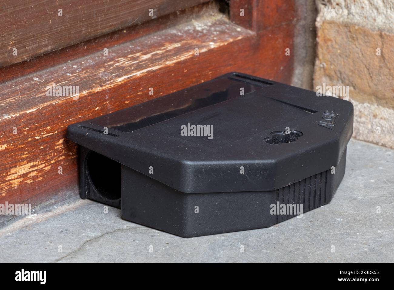 Poisoned plastic box for pest control, mouse bait station filled with rodenticide, poisonous paste as poison to exterminate mice in and around house Stock Photo