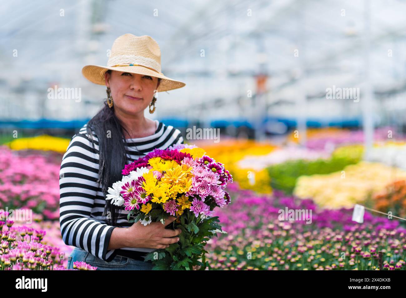 A Colombian woman carries an arranged flower bouquet of chrysanthemums at a cut flower farm in Rionegro, Colombia, on March 15, 2024. Stock Photo