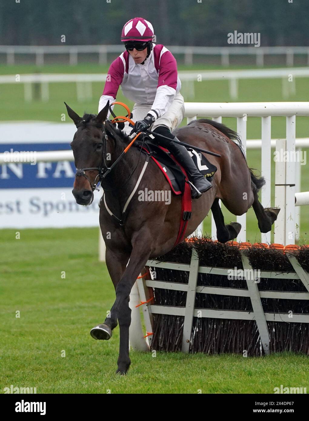 Maxxum ridden by Carl Millar clears the last before winning the Conway Piling Handicap Hurdle on day three of the Punchestown Festival at Punchestown Racecourse, County Kildare. Picture date: Thursday May 2, 2024. Stock Photo