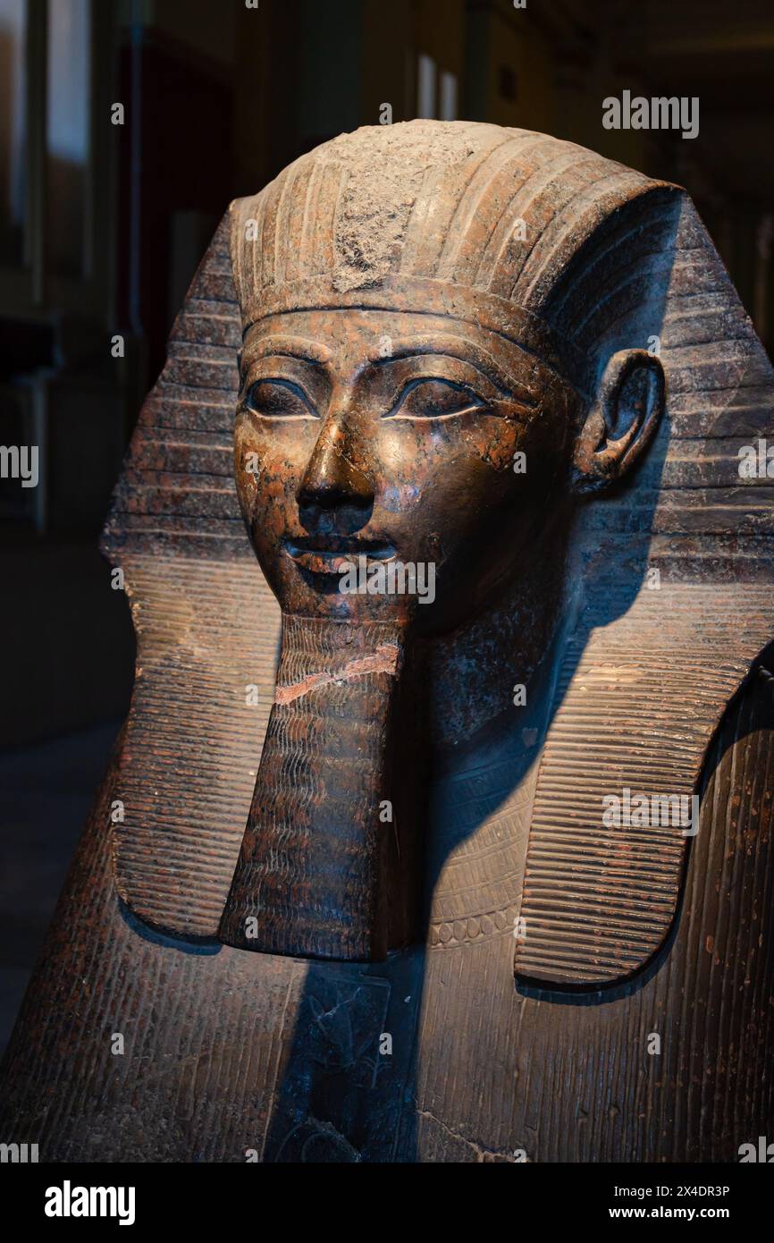 Carved bust of Sphinx of Hatshepsut, Cairo Museum of Antiquities. Egypt