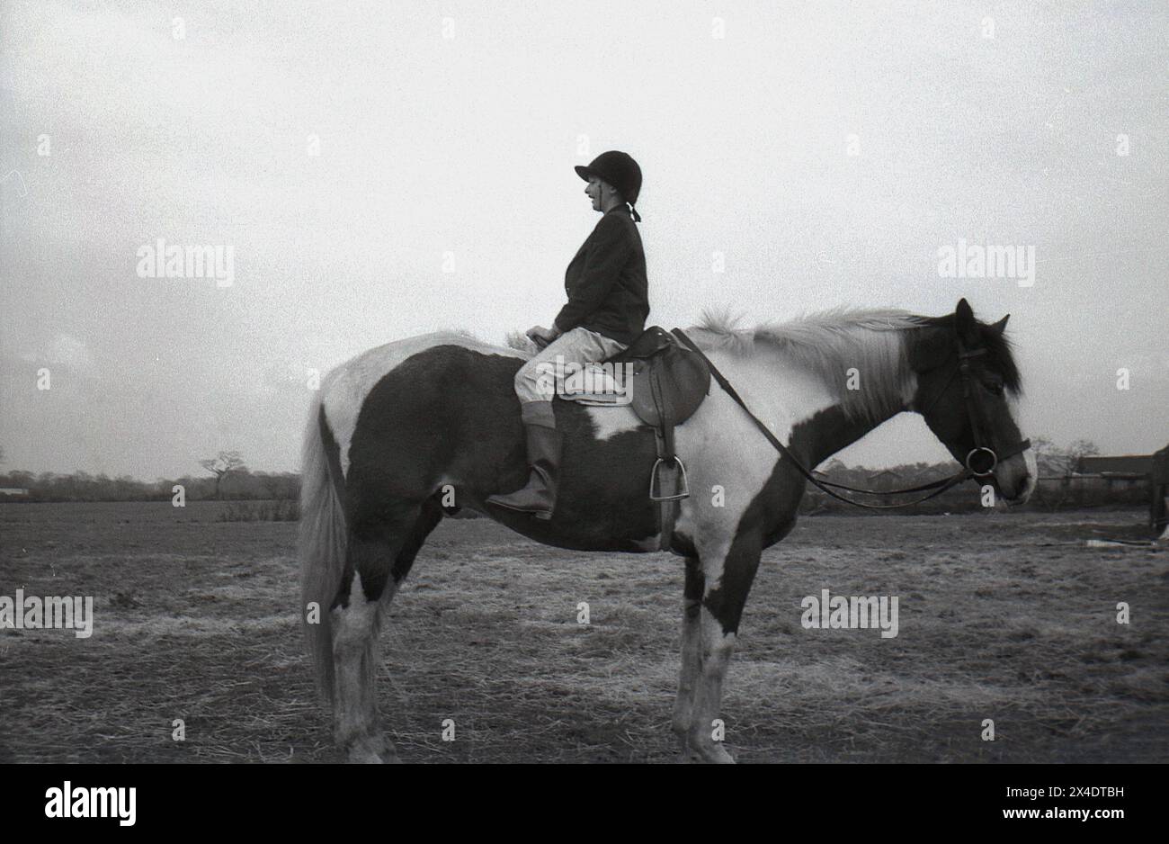 1960s, historical, outside in a field, at a suburban riding school, a girl sitting backwards on a horse, something done to improve her balance when riding. Stock Photo