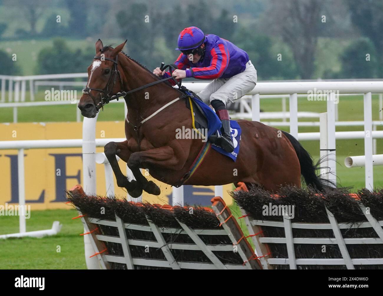 Casa No Mento ridden by Sam Twiston-Davies clears the last before winning the Close Brothers Mares Novice Hurdle on day three of the Punchestown Festival at Punchestown Racecourse, County Kildare. Picture date: Thursday May 2, 2024. Stock Photo