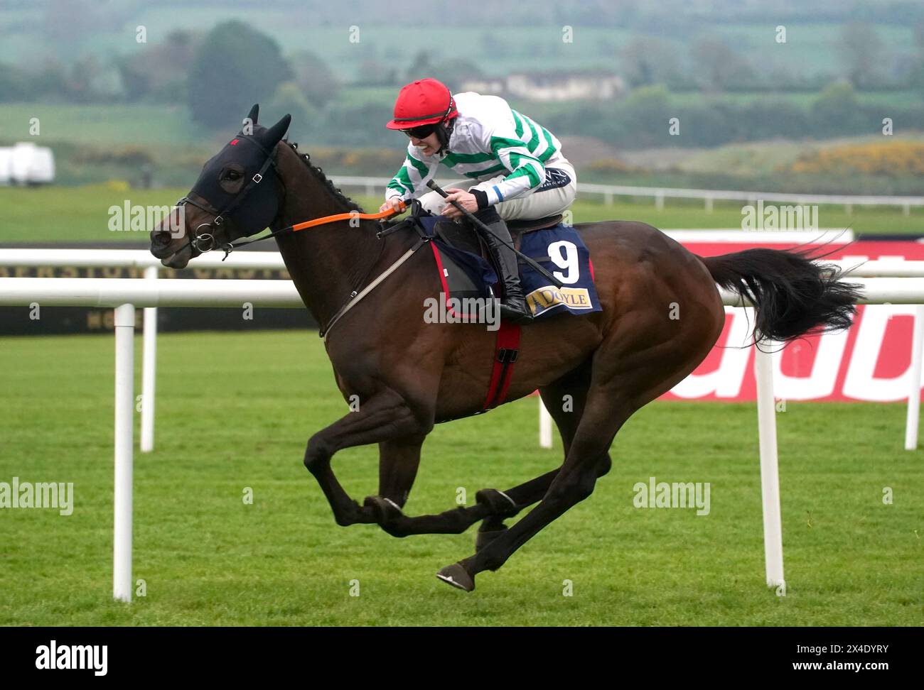 Wingmen ridden by Harry Swan on their way to winning the JP & M Doyle (C & G) Flat Race on day three of the Punchestown Festival at Punchestown Racecourse, County Kildare. Picture date: Thursday May 2, 2024. Stock Photo