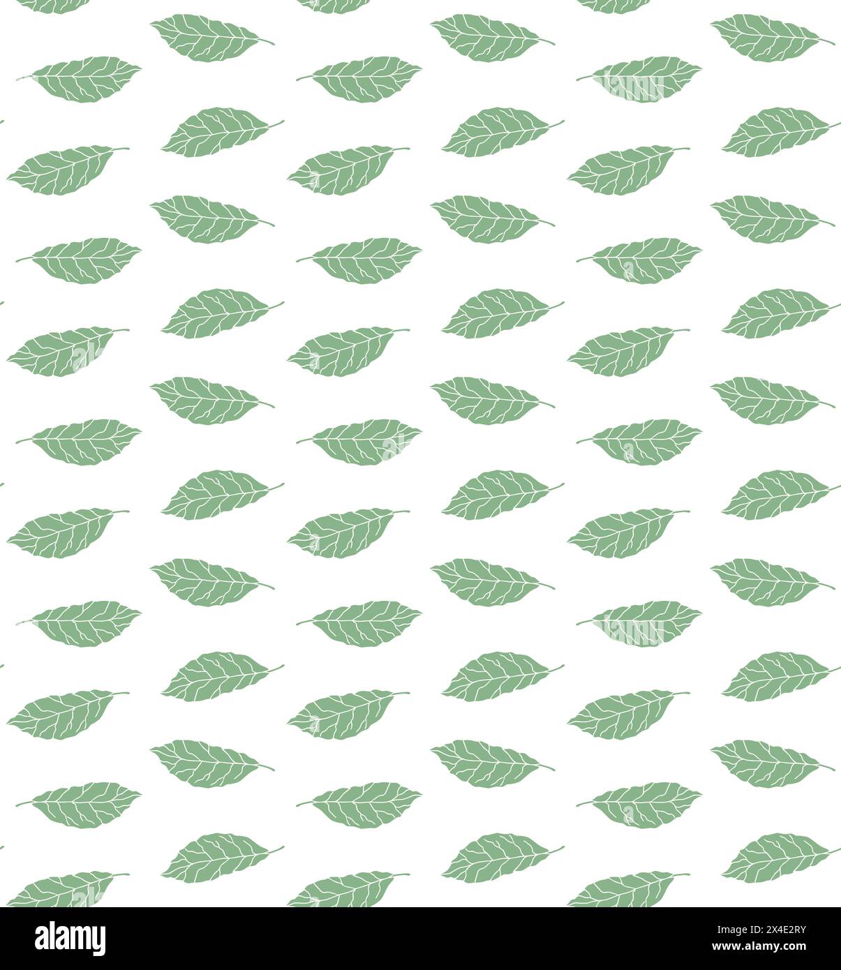 Vector seamless pattern of green bay leaf Stock Vector