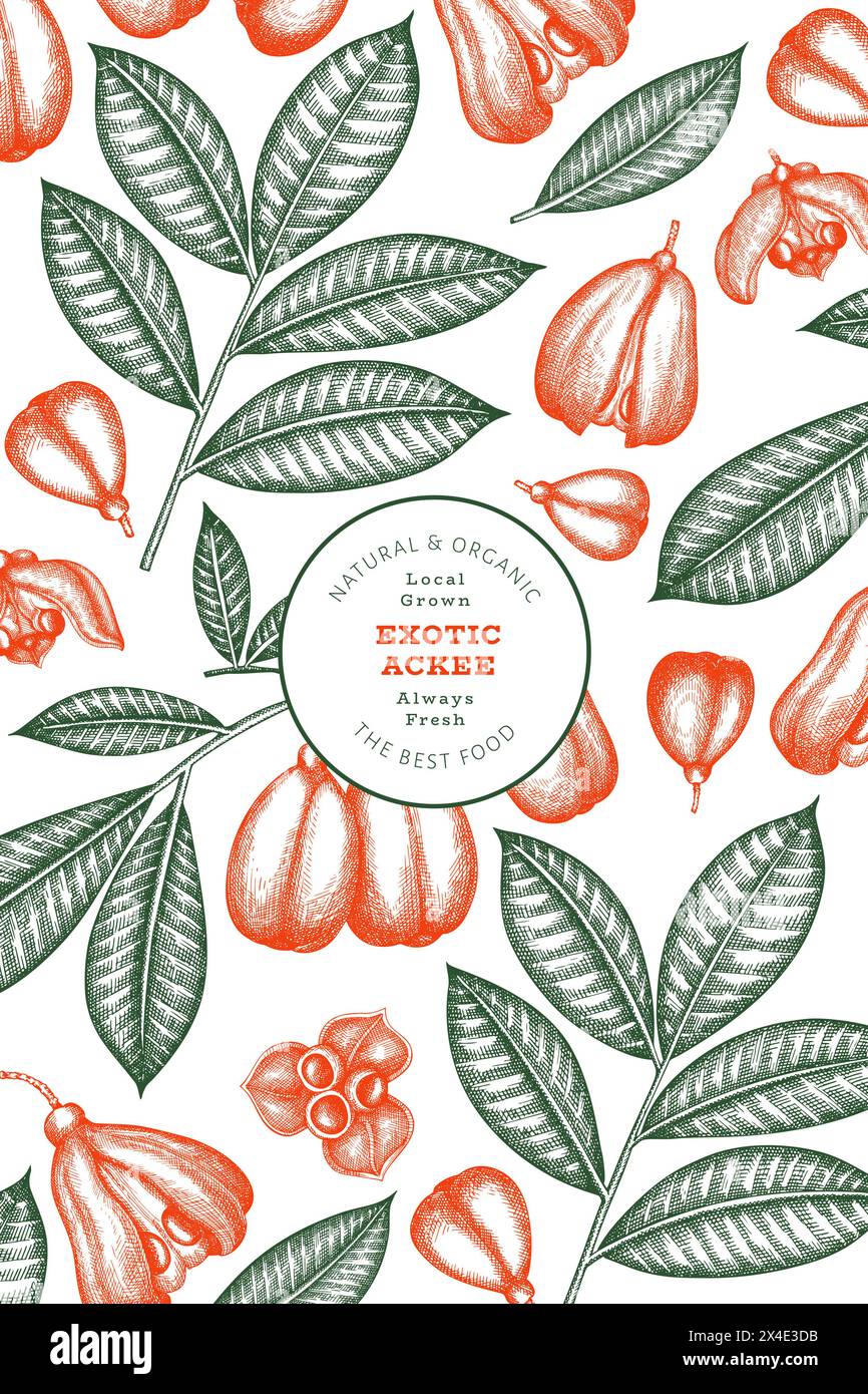 Hand drawn sketch style ackee banner. Organic fresh food vector ...