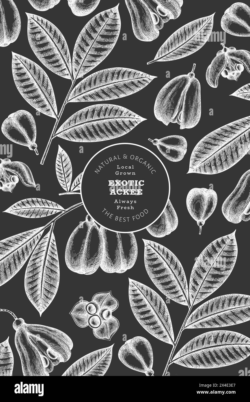 Hand drawn sketch style ackee banner. Organic fresh food vector ...