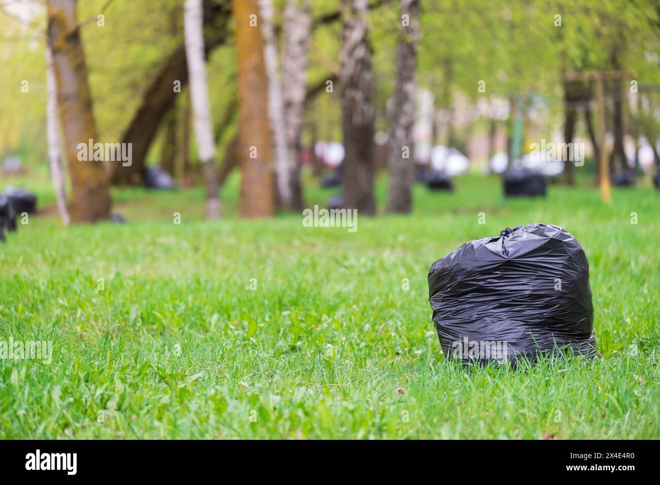 Black plastic bags with tree leaves. There are large black plastic