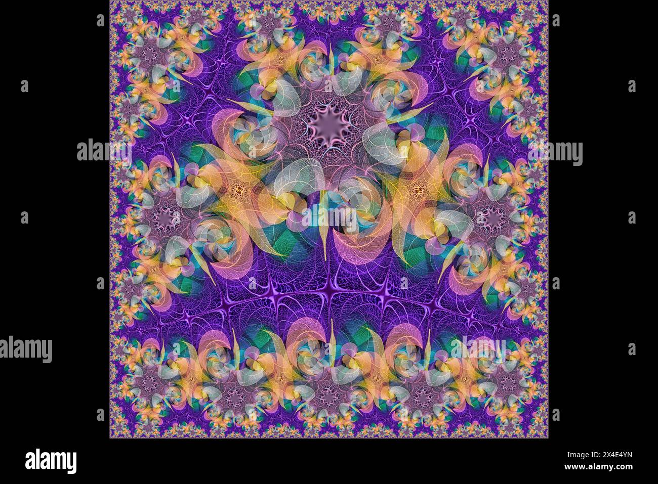 Multi-colored skeleton leaves arranged on black background Stock Photo