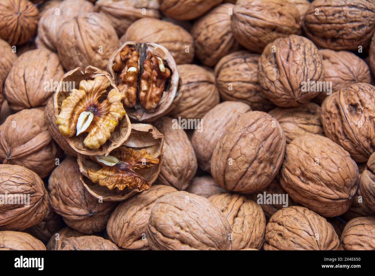 Cracked walnuts on a background covered with walnuts Stock Photo