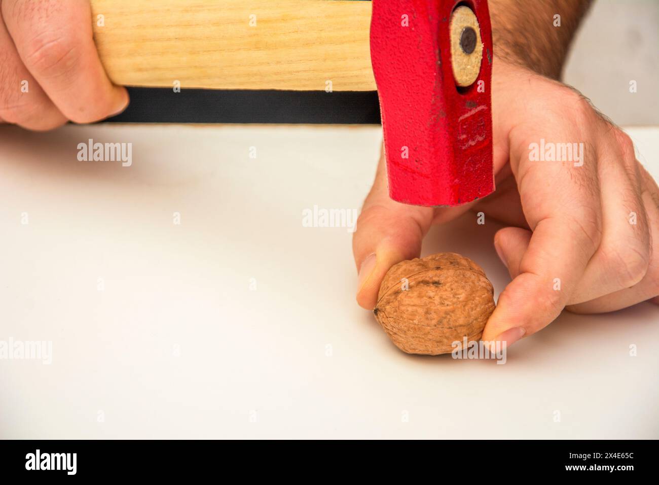 Cracking a walnut with a hammer close-up Stock Photo