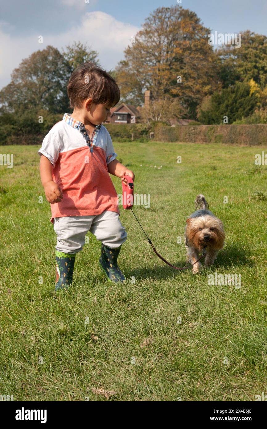 little boy walking Yorkshire terrier on lead Stock Photo